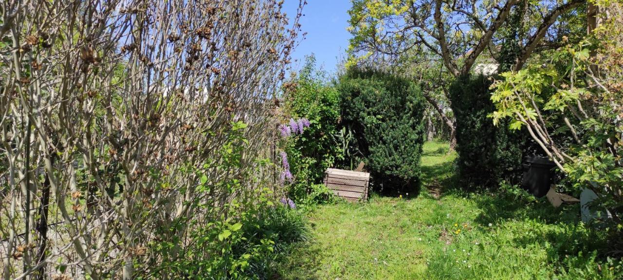 Maison Au Pied De La Montagne Aspet Экстерьер фото