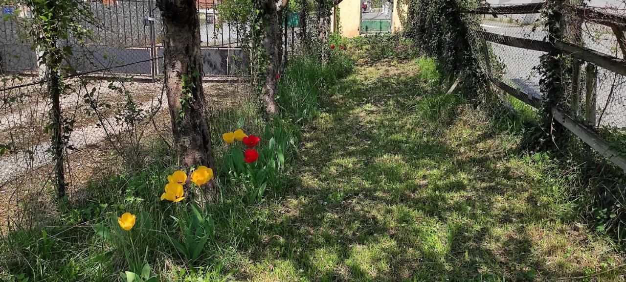Maison Au Pied De La Montagne Aspet Экстерьер фото